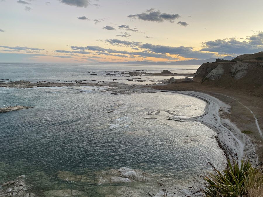 Kaikōura Pāua Fishery Remains Closed The Fishing site